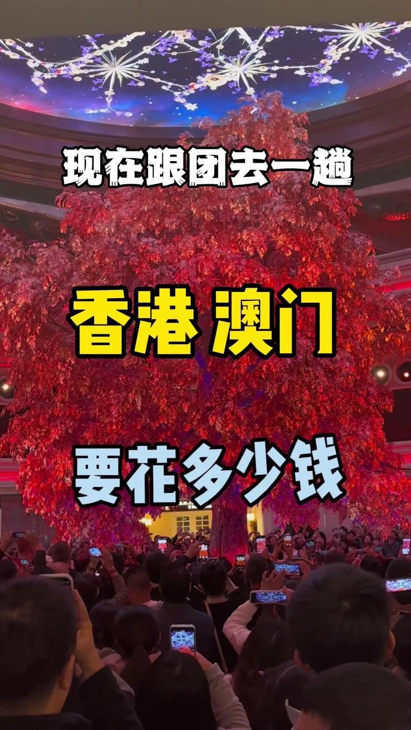 新澳今晚特9点30开什么和台旅行团被卖到缅甸与旅行团 台湾