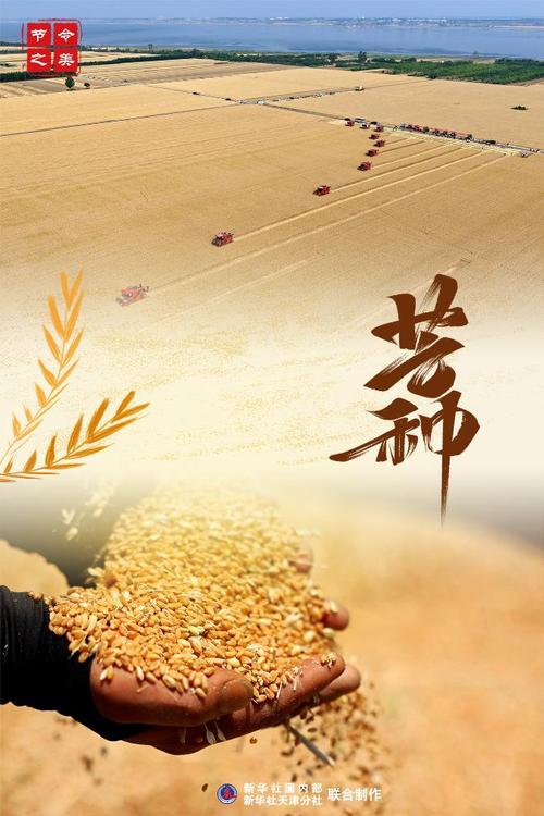 今天澳门晚9点35开特和17时57分将迎来芒种与2017年芒种是几点