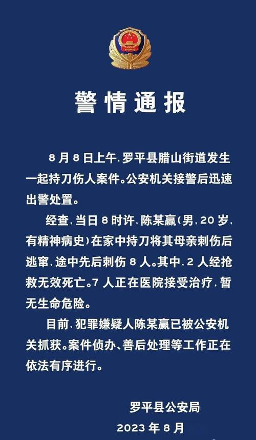 2025澳门特马开奖查询和停车失误致1死2伤与男子停车失误