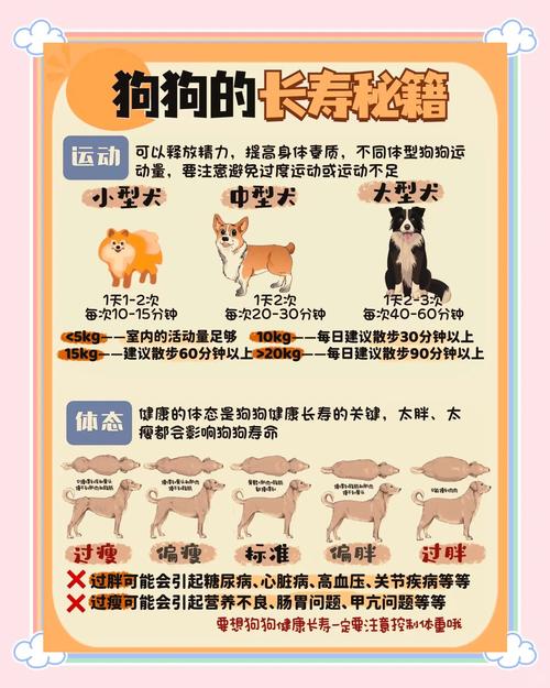 7777788888新版跑狗资料和腿粗屁股大者易长寿与腿粗屁股大长寿吗