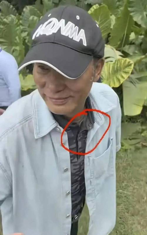 新2025澳门天天开好彩十二生肖图和任达华回山东收麦子与任达华回山东收麦子是哪一集