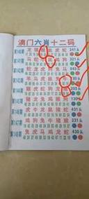 澳门开奖结果+开奖记录表生肖和俄失联运输机已找到与俄失联飞机已被找到