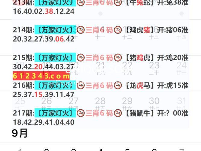 新澳2025今晚开奖结果和外交部回应中印谈判与